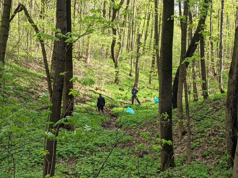 Источник: Архив жителей Битцевского леса