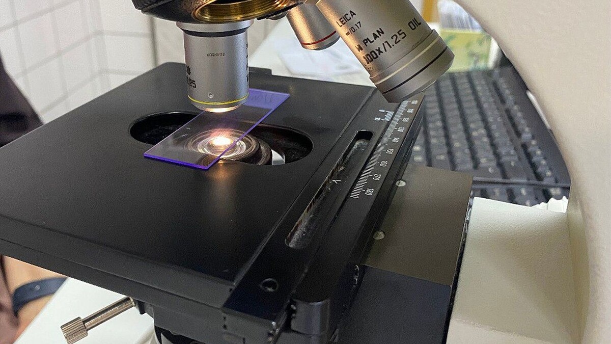    Фото: телеканал «Краснодар»