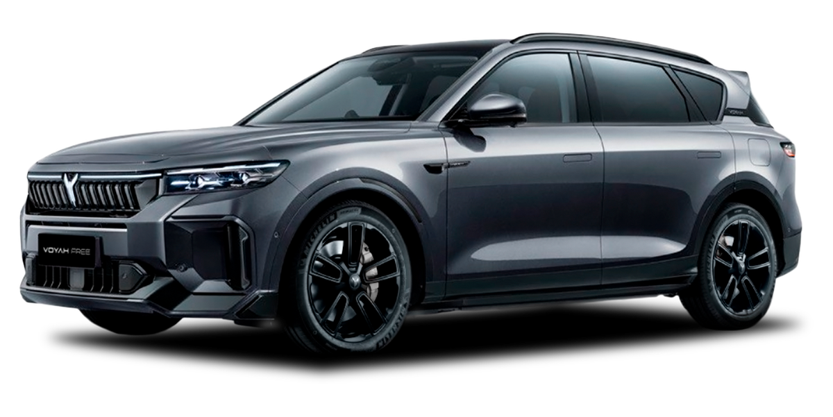 Фото: Voyah  📷
