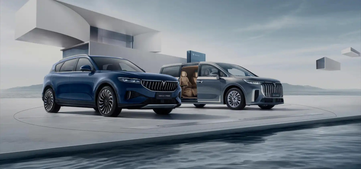 Фото: Voyah  📷
