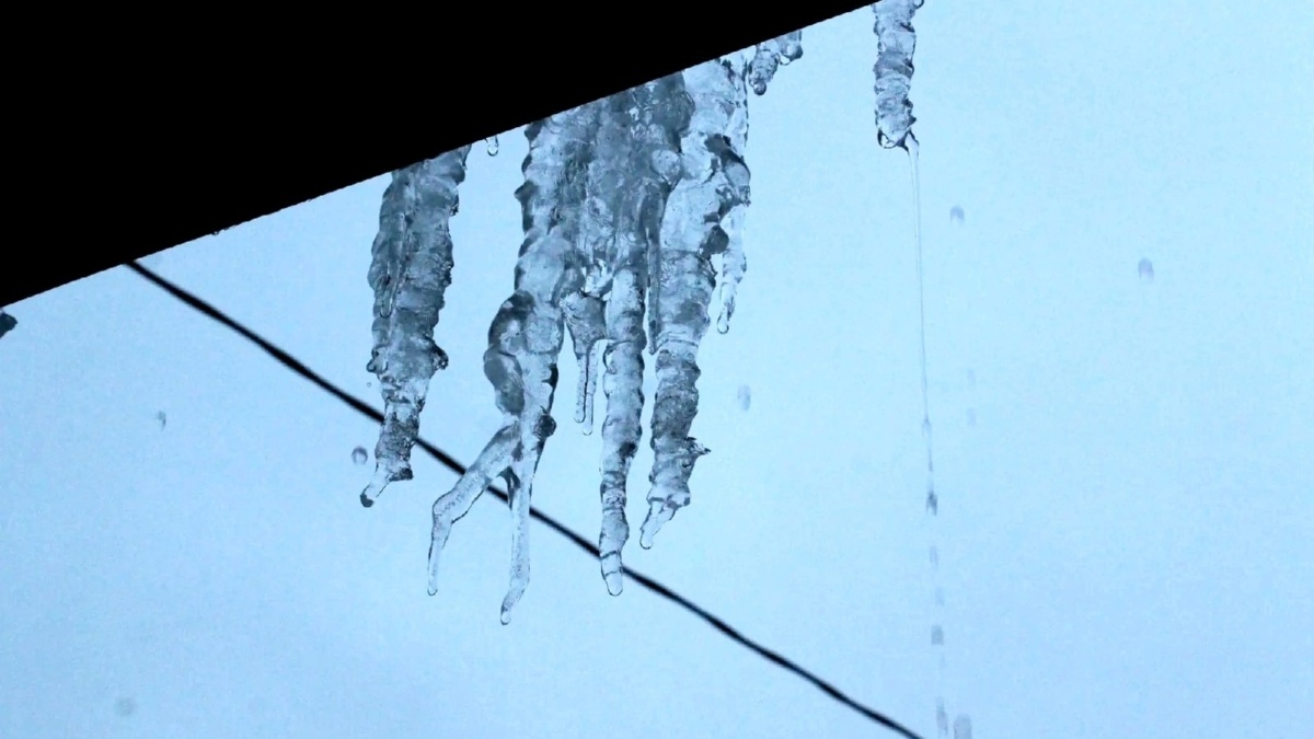 ИА «Тульская пресса»📷
