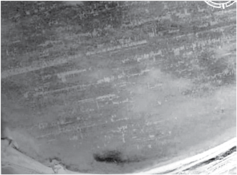 Космическая  съёмка  озера  Кенан.