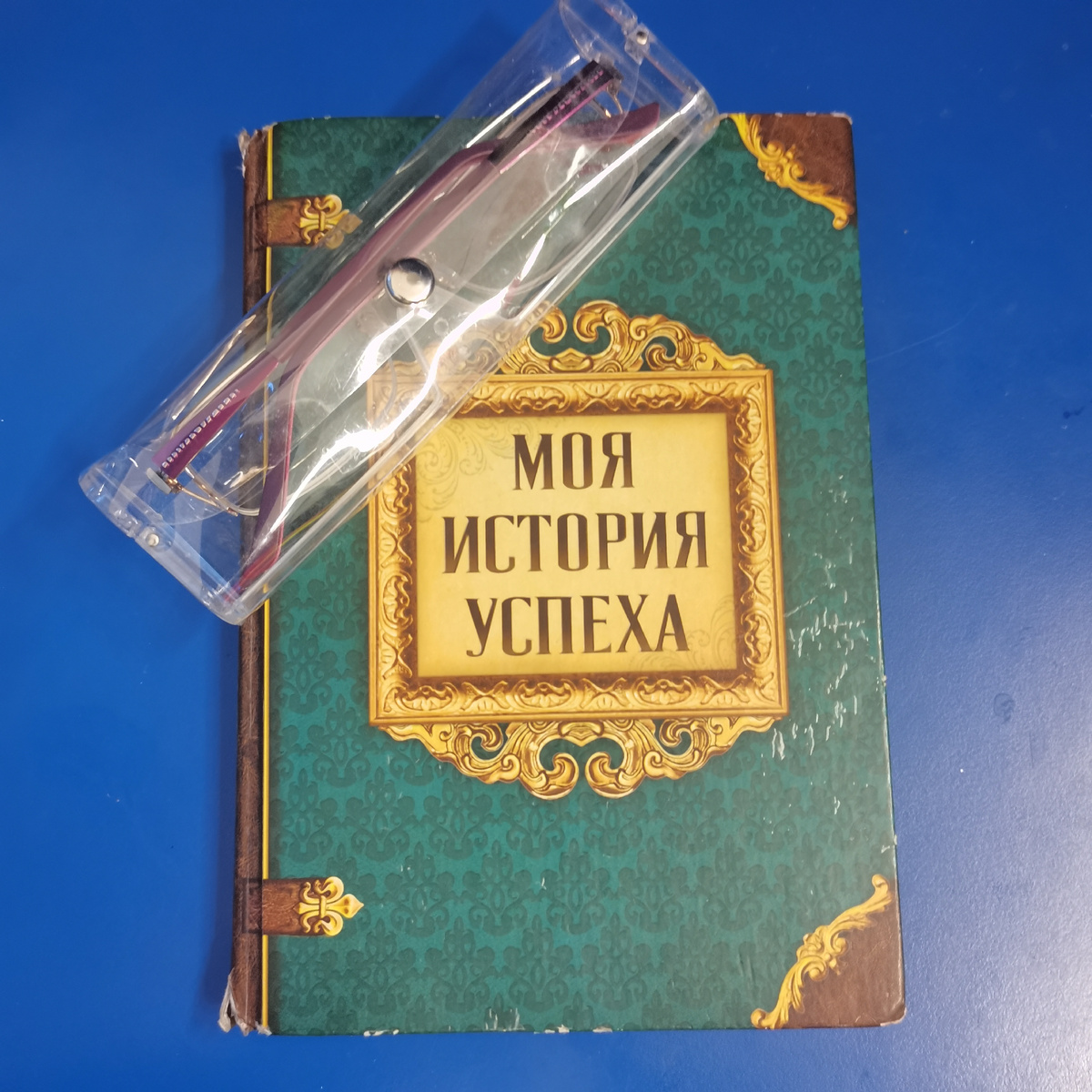 Очки мои, ежедневник мой. 