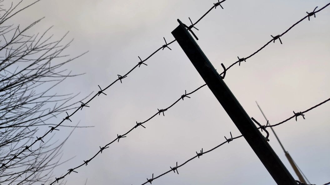    Maksim Konstantinov/Global Look Press