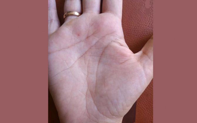 Фото из свободных источников