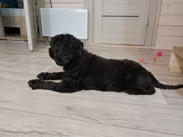     Фото: "Подслушано Сахарово, Аввакумово, Силикатка"/vk.com