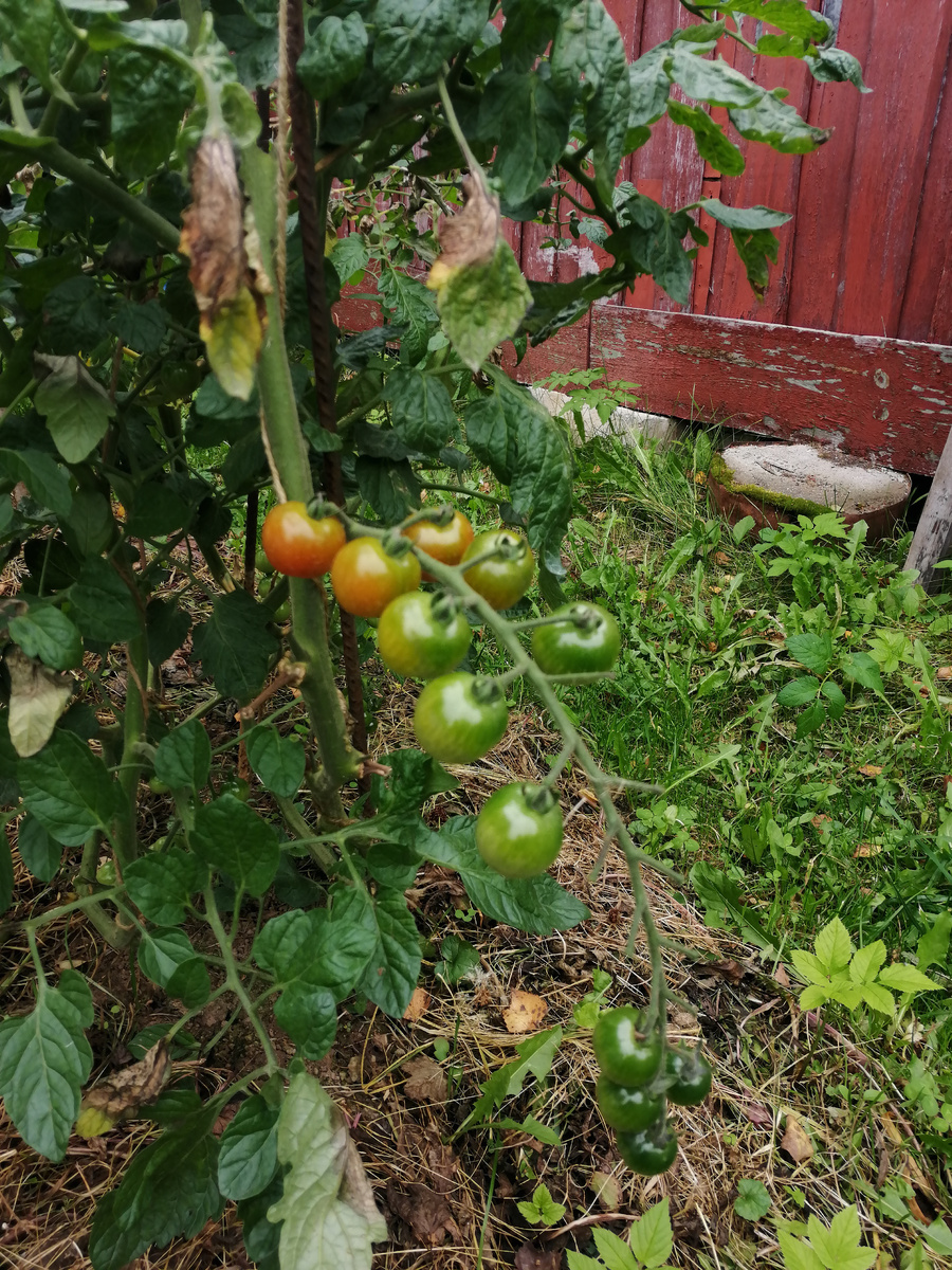 Сентябрь 2023