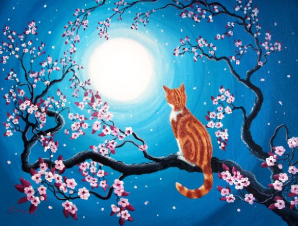 Источник изображения : vk.com› и Яндекс картинка.