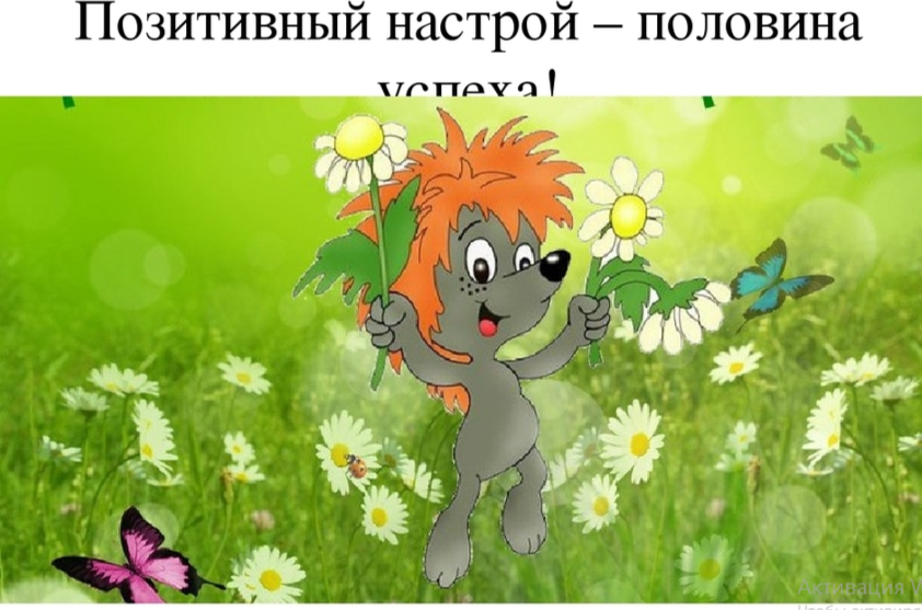 фото с интернета