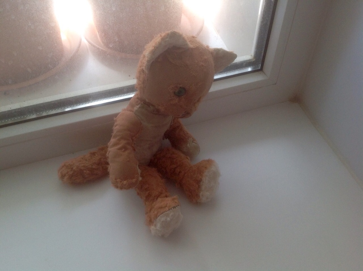 Это мой кот Котофеич. Мама сохранила. Нещадно общипала его я в детстве. Был у меня потом новый красивый нелысый Барсик, но я его не полюбила. Так что новое далеко не всегда любимое.