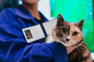    Фото: Медиа-агентство ВШН