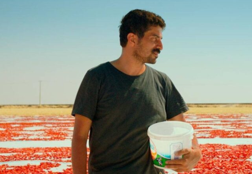 Фото: интернет