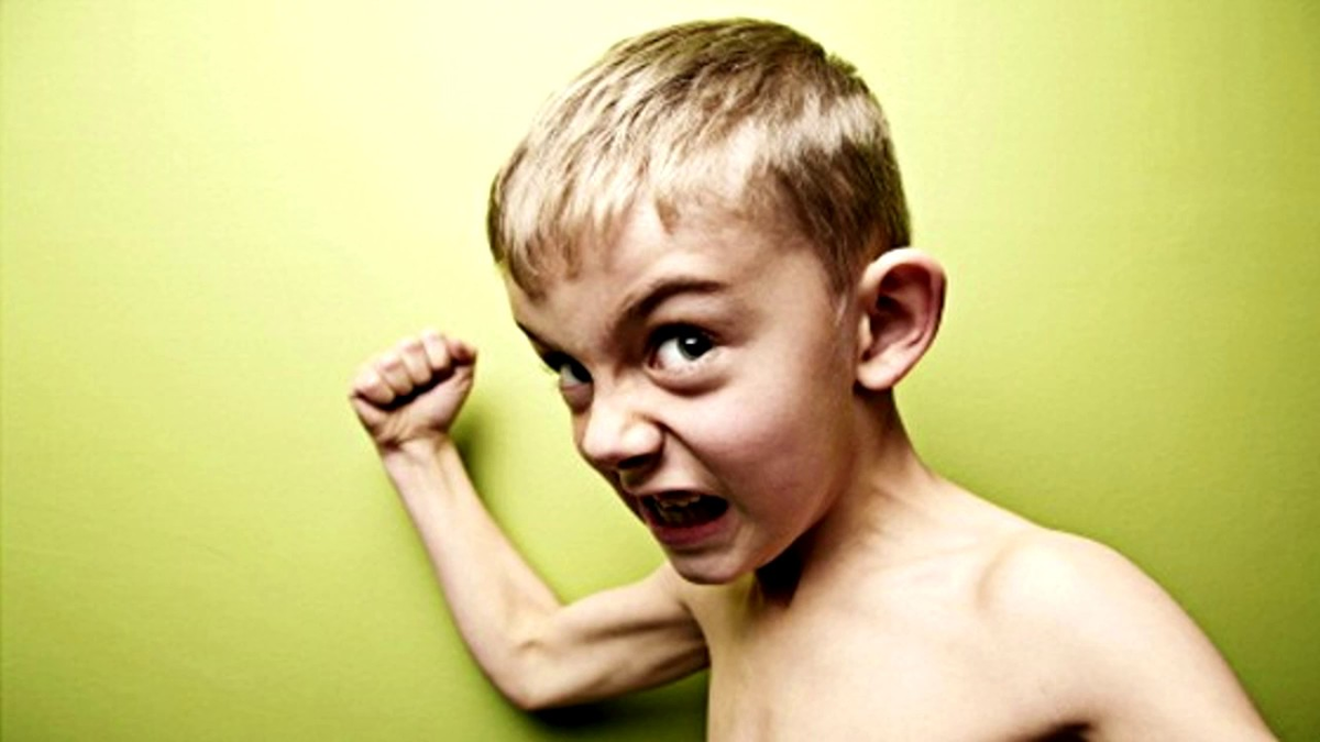 изображение из яндекс-картинки