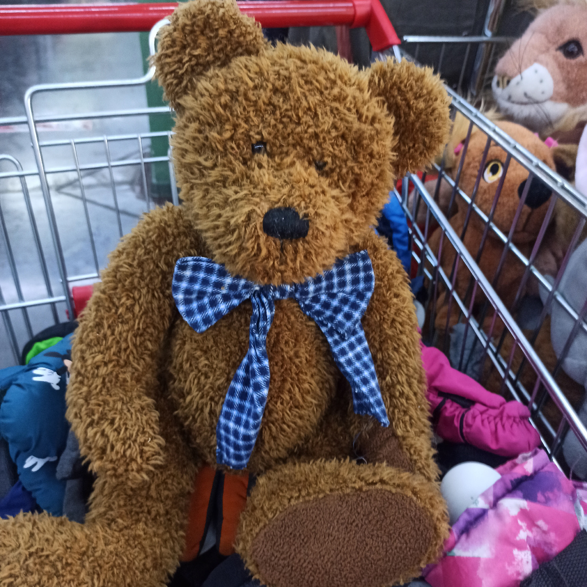 Фото автора