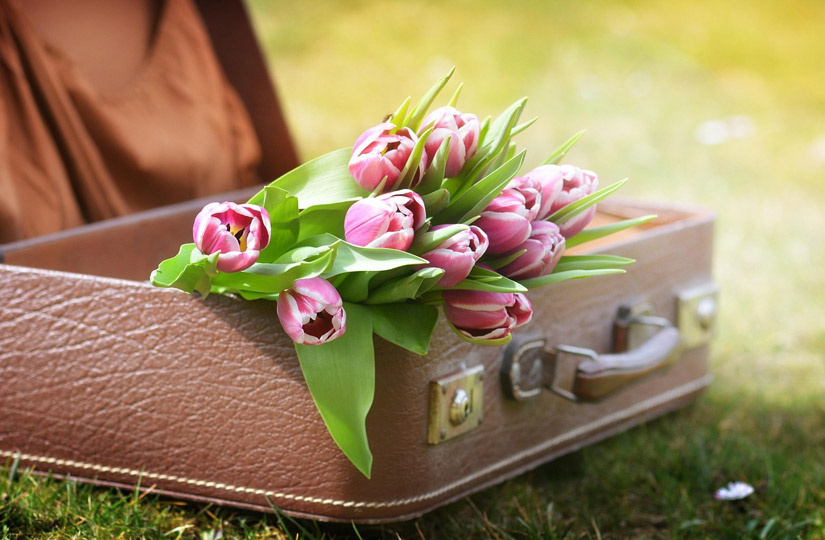 Фото: pixabay.com