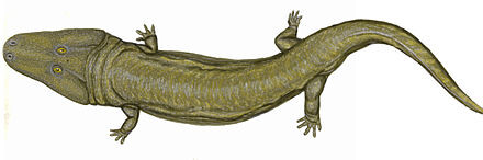 Ураноцентродон от Дмитрия Богданова.