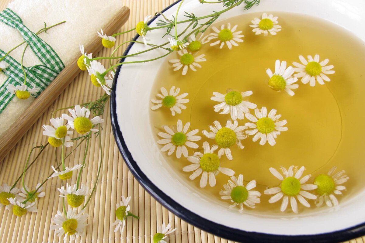 Отвар ромашки