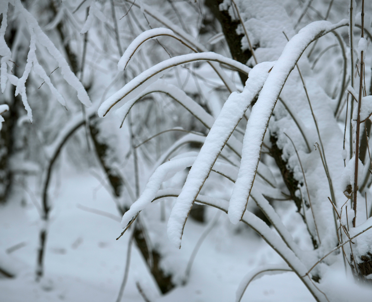 фото: Nikolay Gyngazov/Global Look Pres