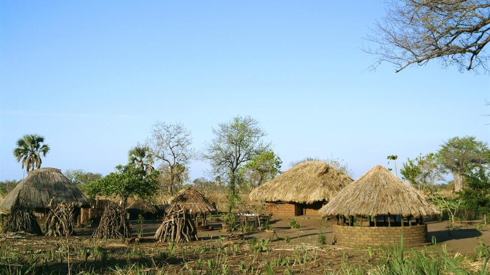 Фото: © Global Look Press/Julius Lando/Impact Photos