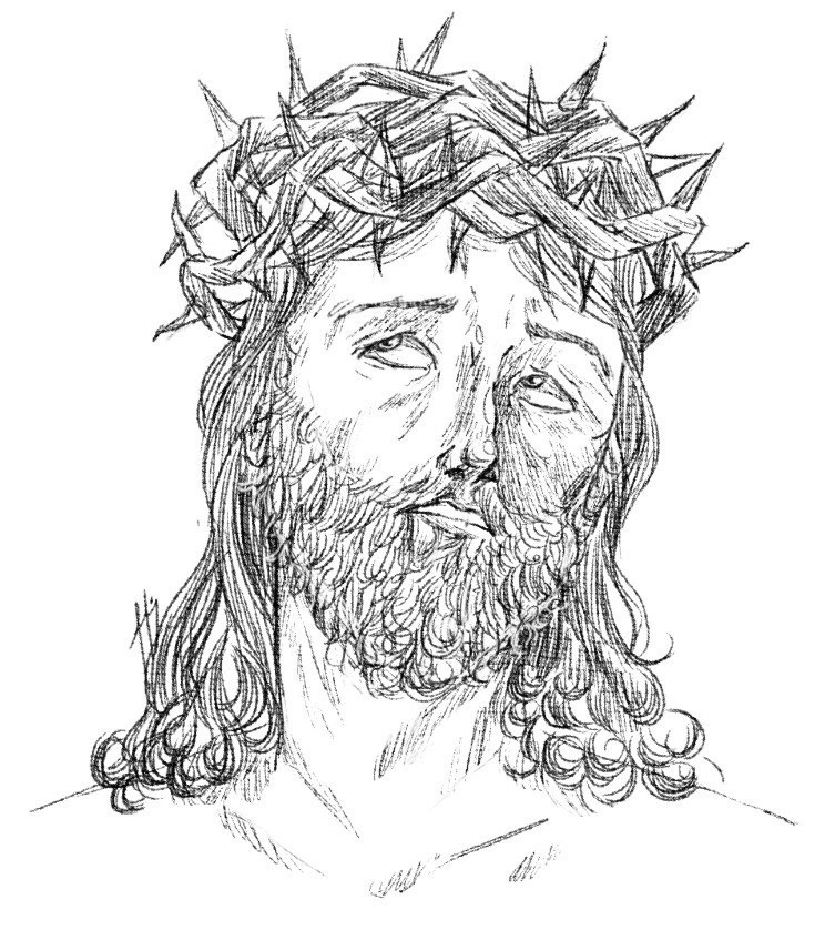 Работы Варвары