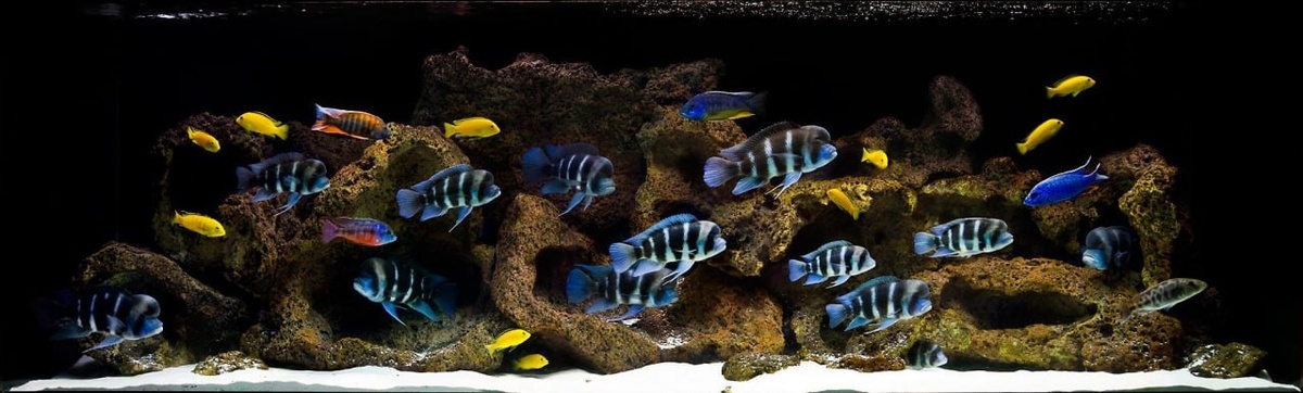 из открытых источников