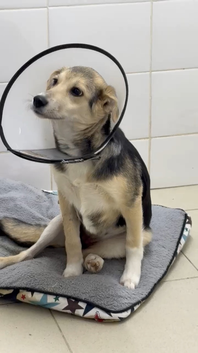 Мира в клинике💔