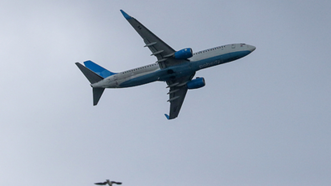    Фото: Petrov Sergey/news.ru/Globallookpress