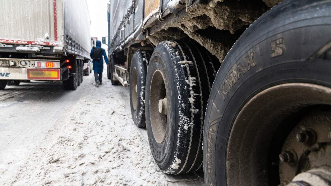    Фото: Global Look Press/Ilya Moskovets