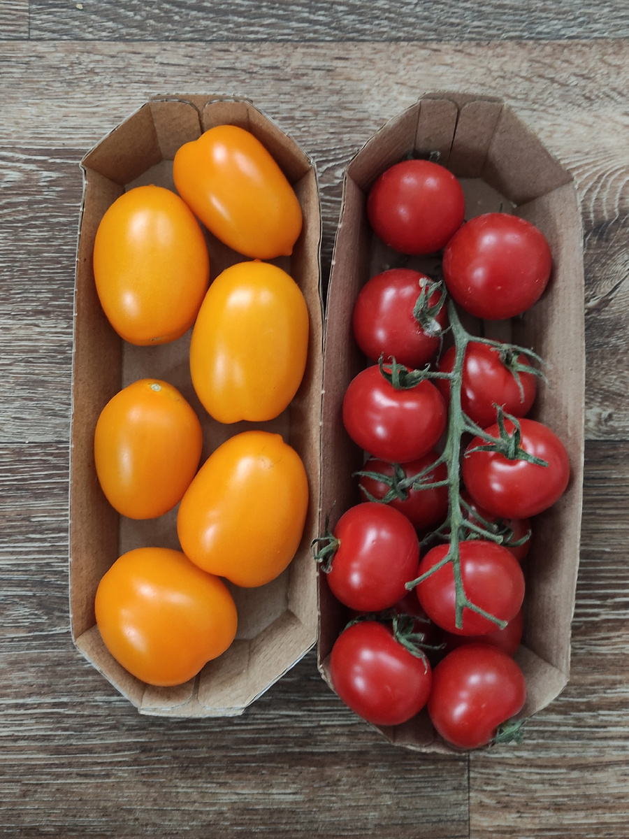 Органза и АннаИса