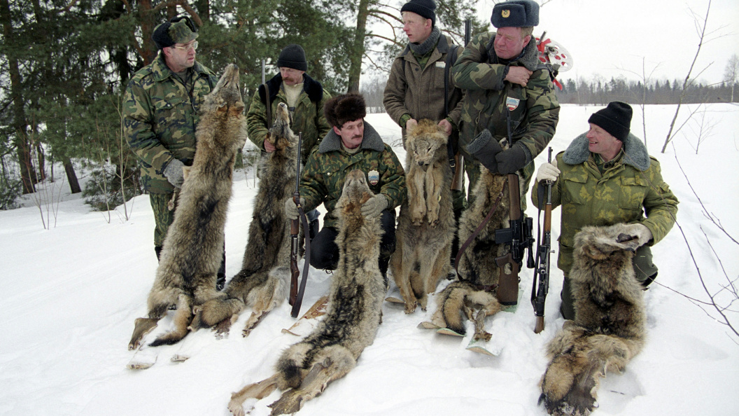    Фото: Zamir Usmanov/Russian Look/Globallookpress