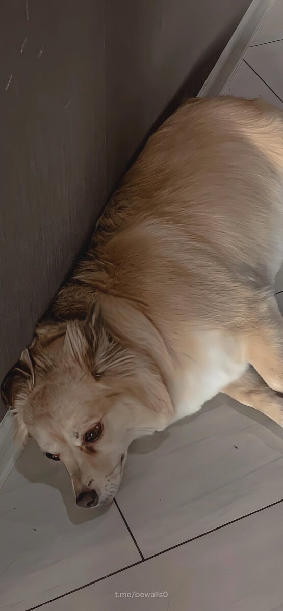 Здесь должны были быть мои рисунки, но я их забыла сфотографировать