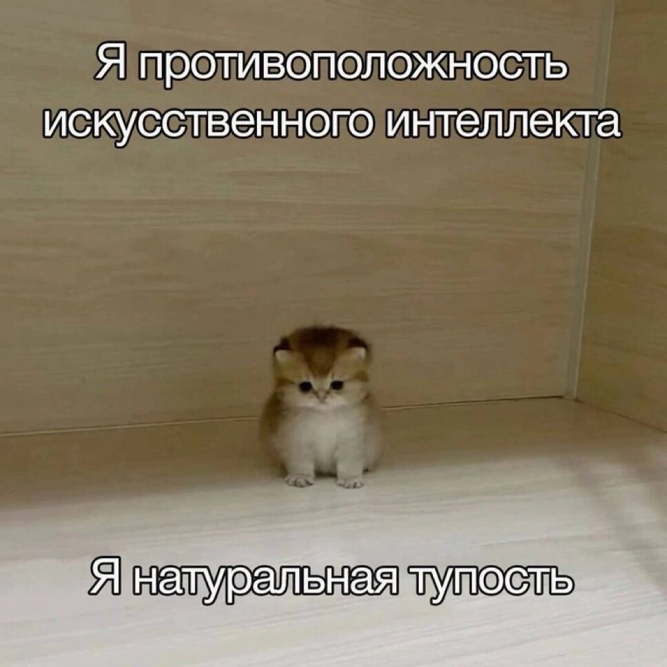 Забавный котёнок. Я котёнок.