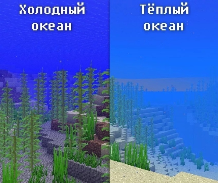 Тёплый и холодный океаны
