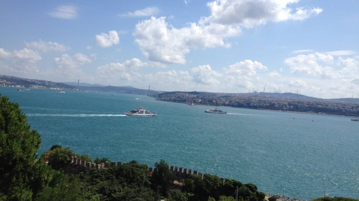 Фото: ИА SM-News📷
