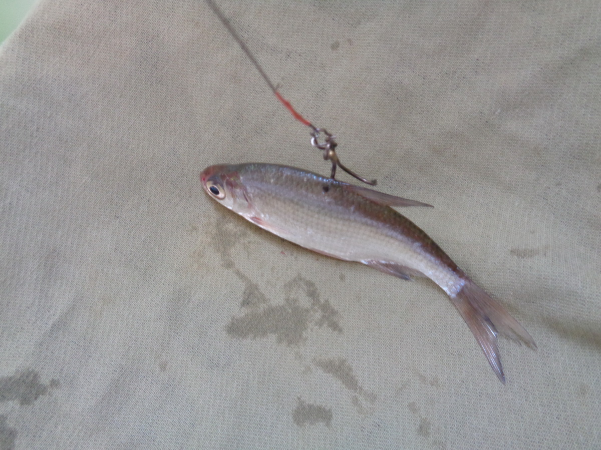 Фото с сайта: https://tvoyulov.ru