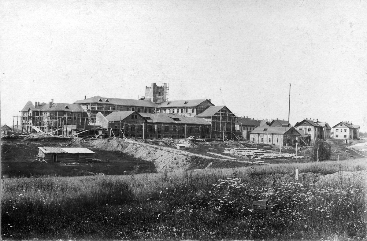 фото из интернета