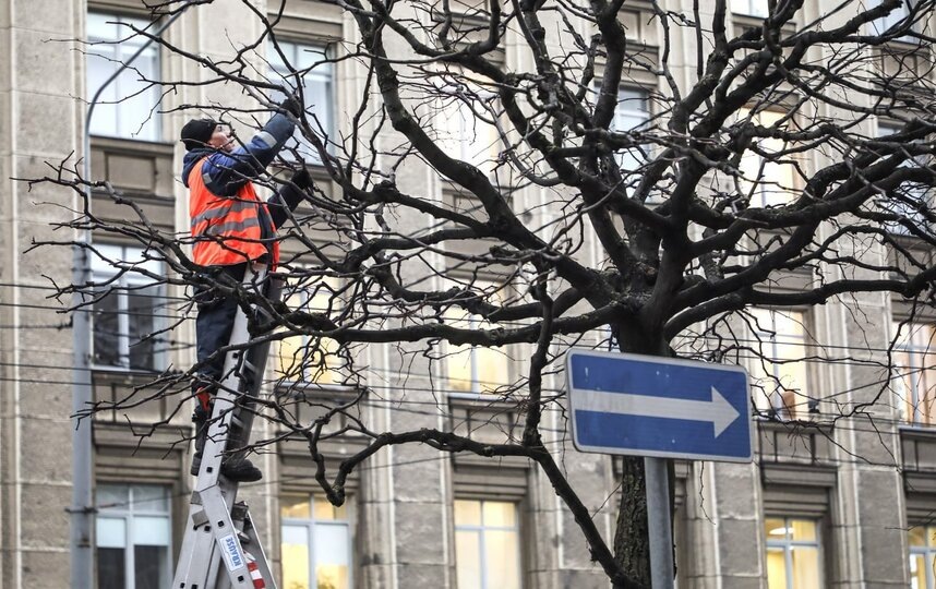    Комитет по благоустройству