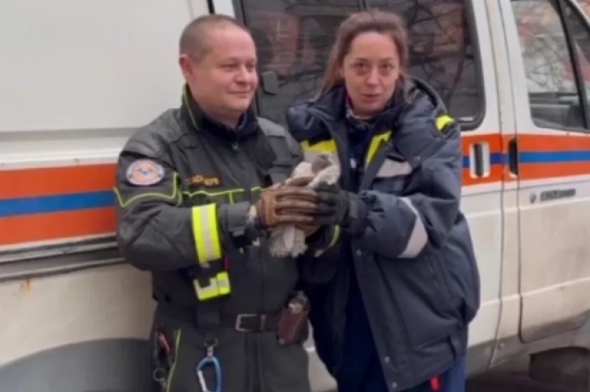    Василий и Анна Фоминых.