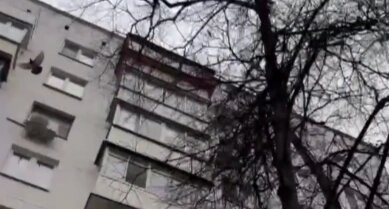    Голубь, выпущенный на свадьбе Анны и Василия. Фото: кадр видео