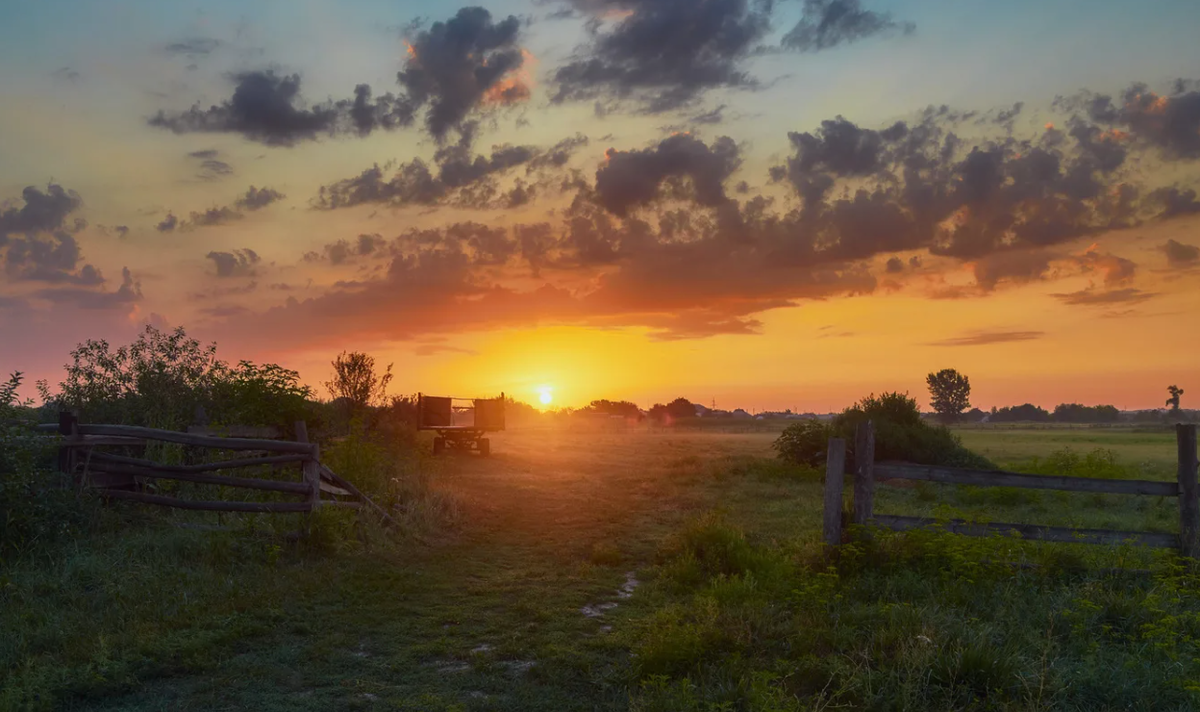 Яндекс картинки