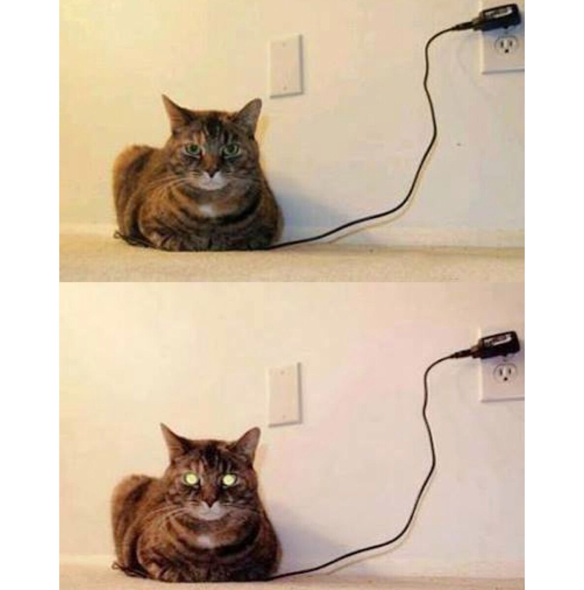 Котики милые мультяшные
