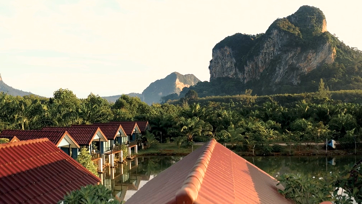 Кадр из фильма "Затерянные в джунглях".