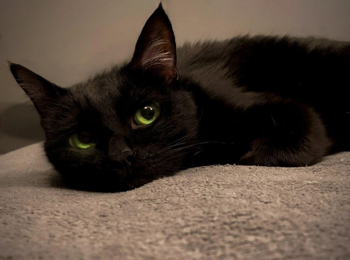 Личное фото