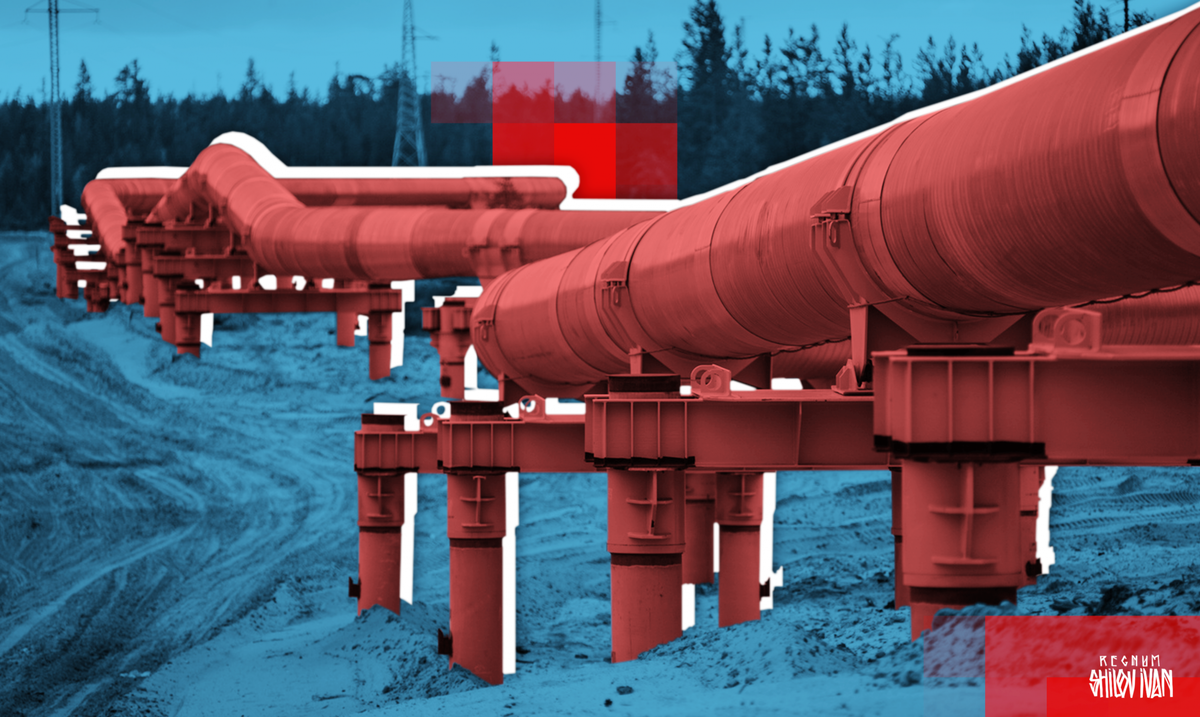     / Источник: Иван Шилов © ИА REGNUM