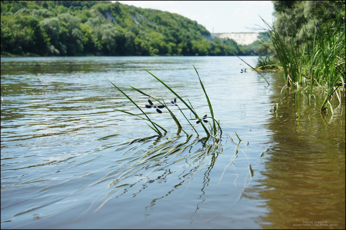 9 кадров из длительной серийки при быстром перелистывании, наконец, передают всю атмосферу движения. По одному - совсем не то.