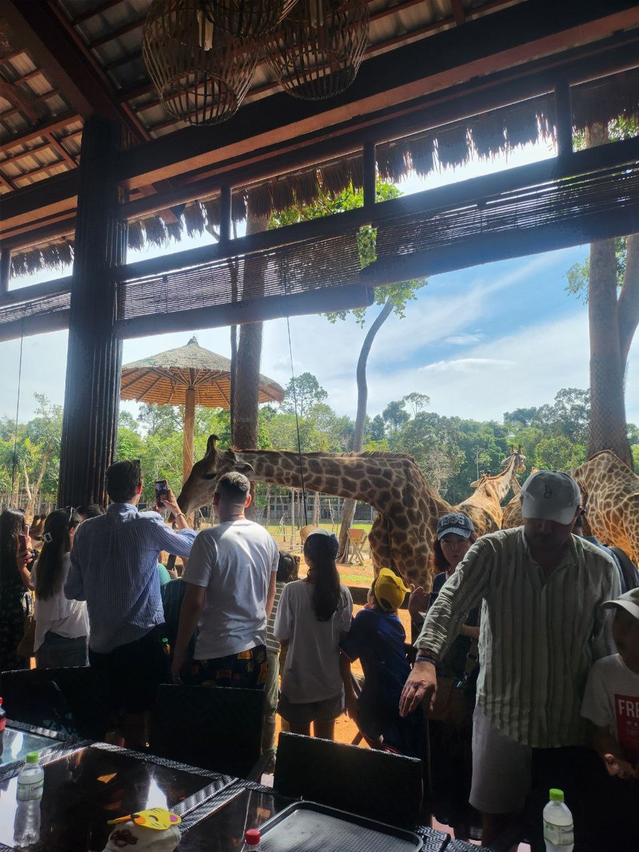 желающих много