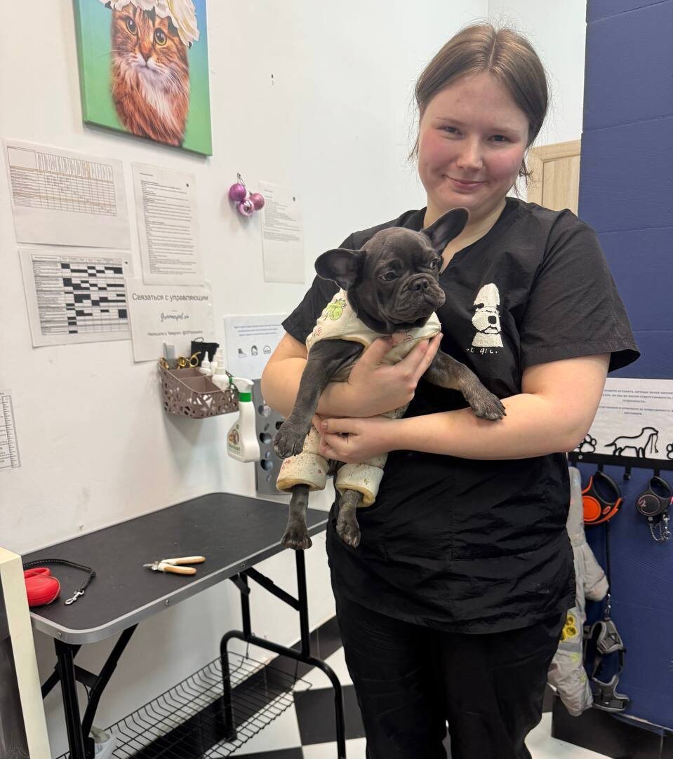 Прием питомца на груминг в Зоосалоне Groomerpet.ru