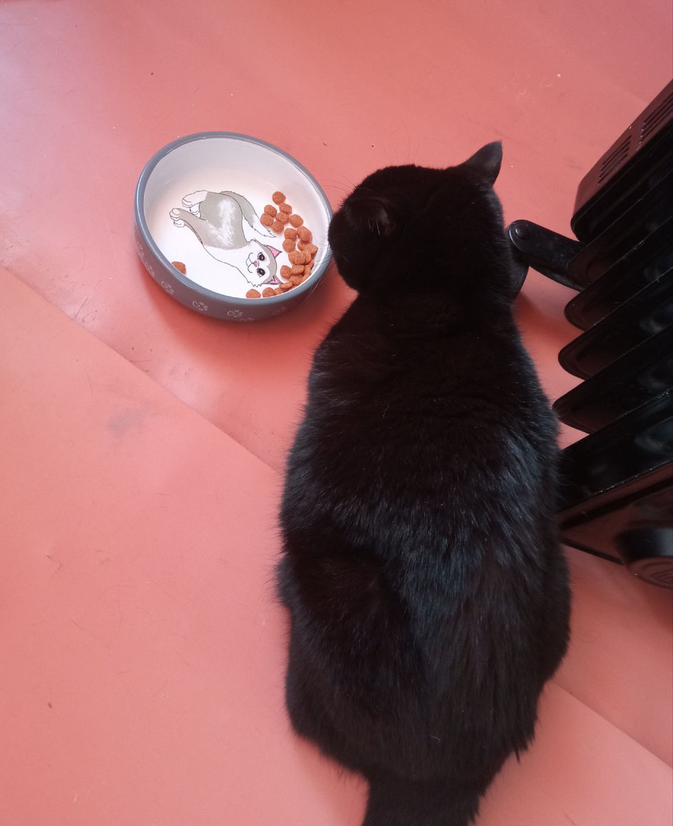 Наша теплолюбивая малышка размышляет, кушать или всë же сейчас не хочется)