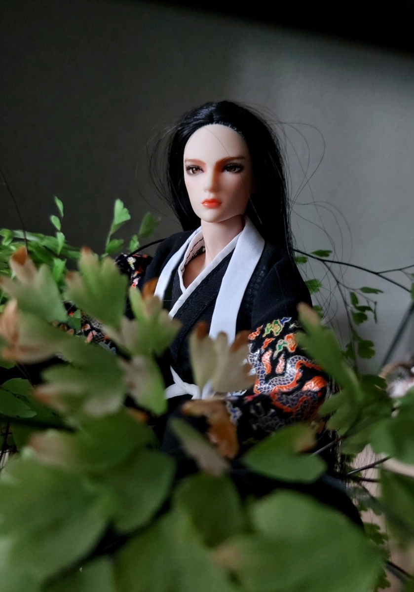 Дракон Сюаньлун 