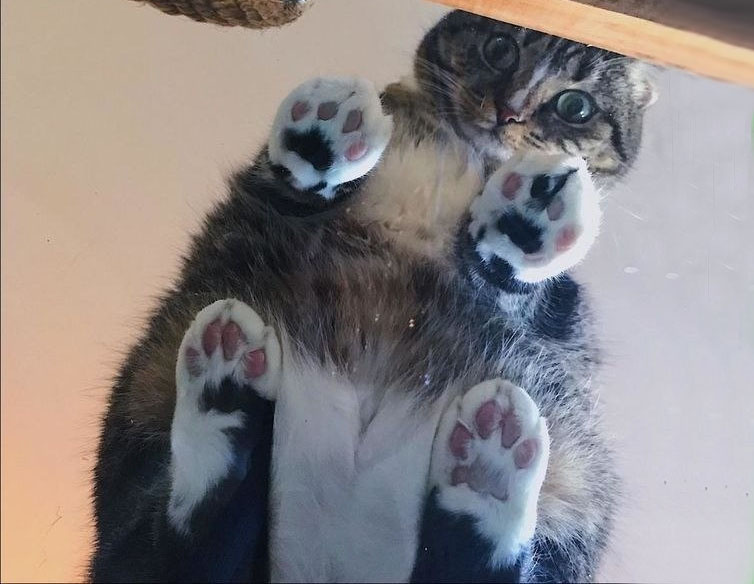 -2